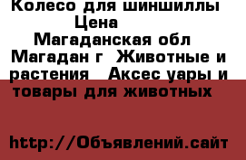 Колесо для шиншиллы › Цена ­ 900 - Магаданская обл., Магадан г. Животные и растения » Аксесcуары и товары для животных   